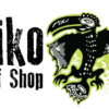 Piko Surf Shop